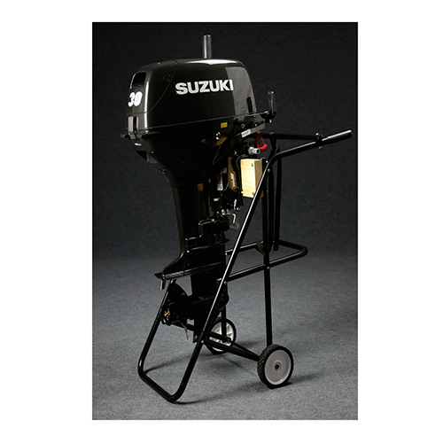 Suzuki DT 30 RL